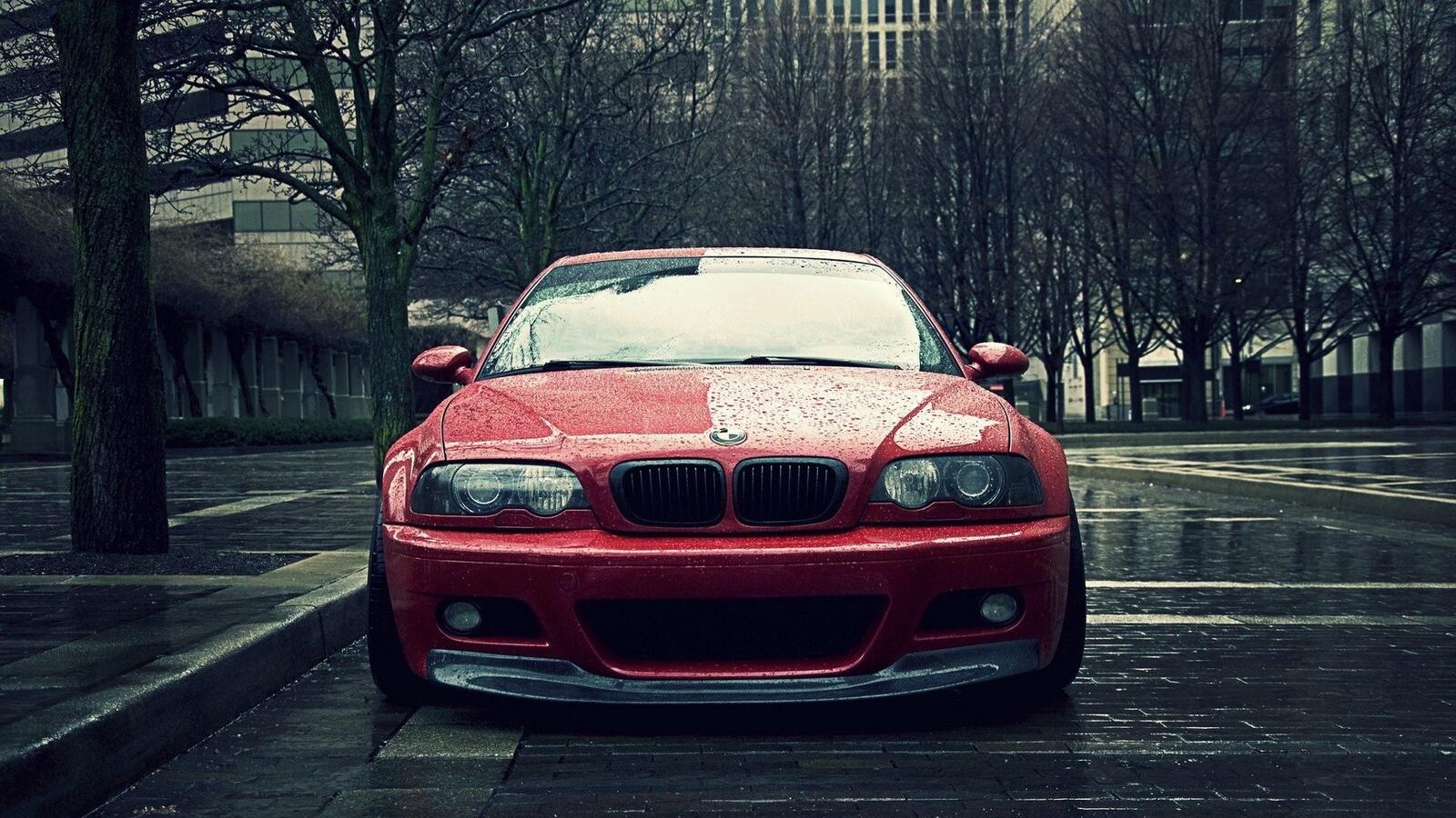 Wallpapers wallpaper bmw e46 front view red car on the desktop