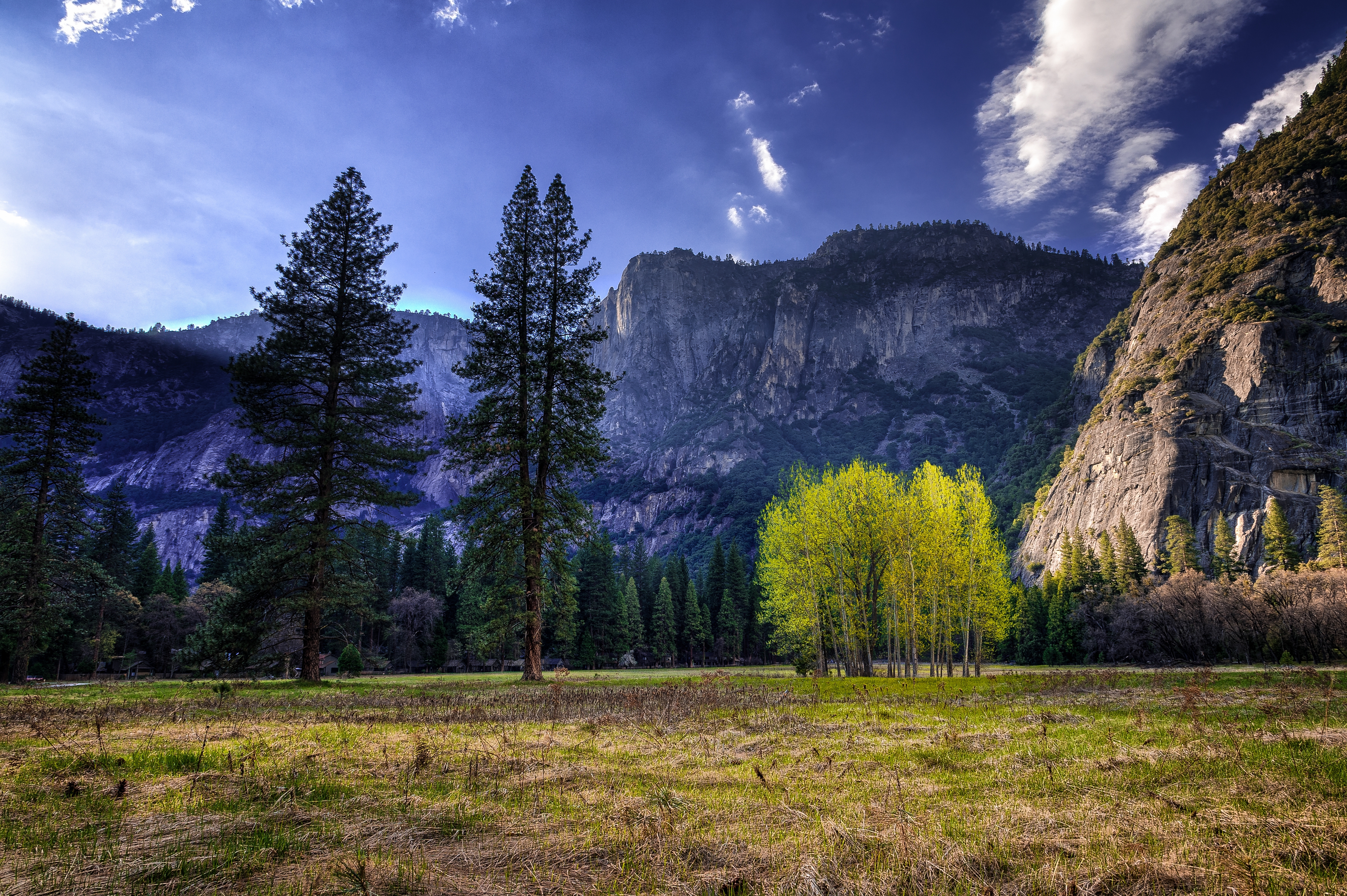 Обои национальный парк Йосемити горы трава на рабочий стол