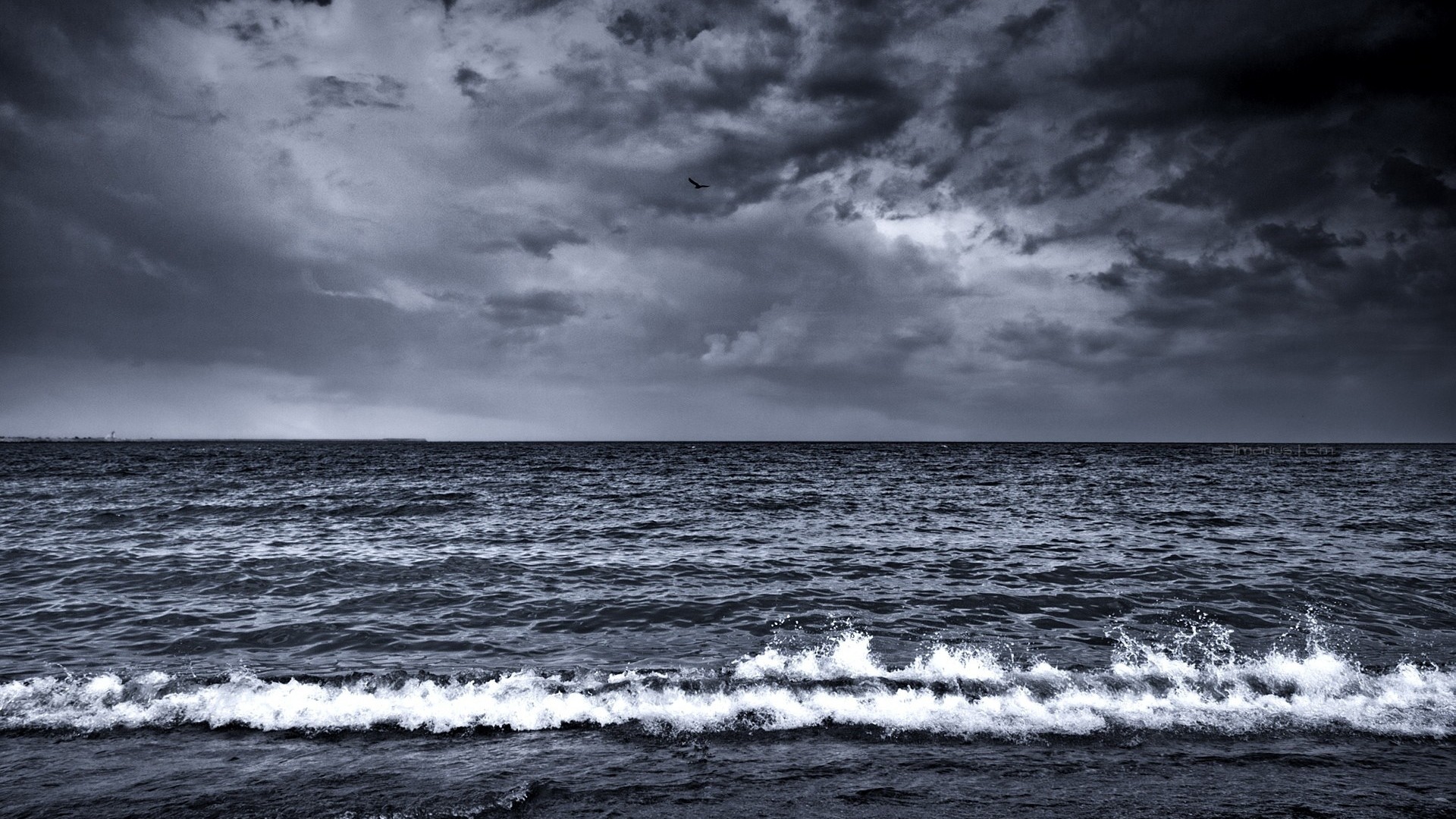 Photo free monochrome, sea, water