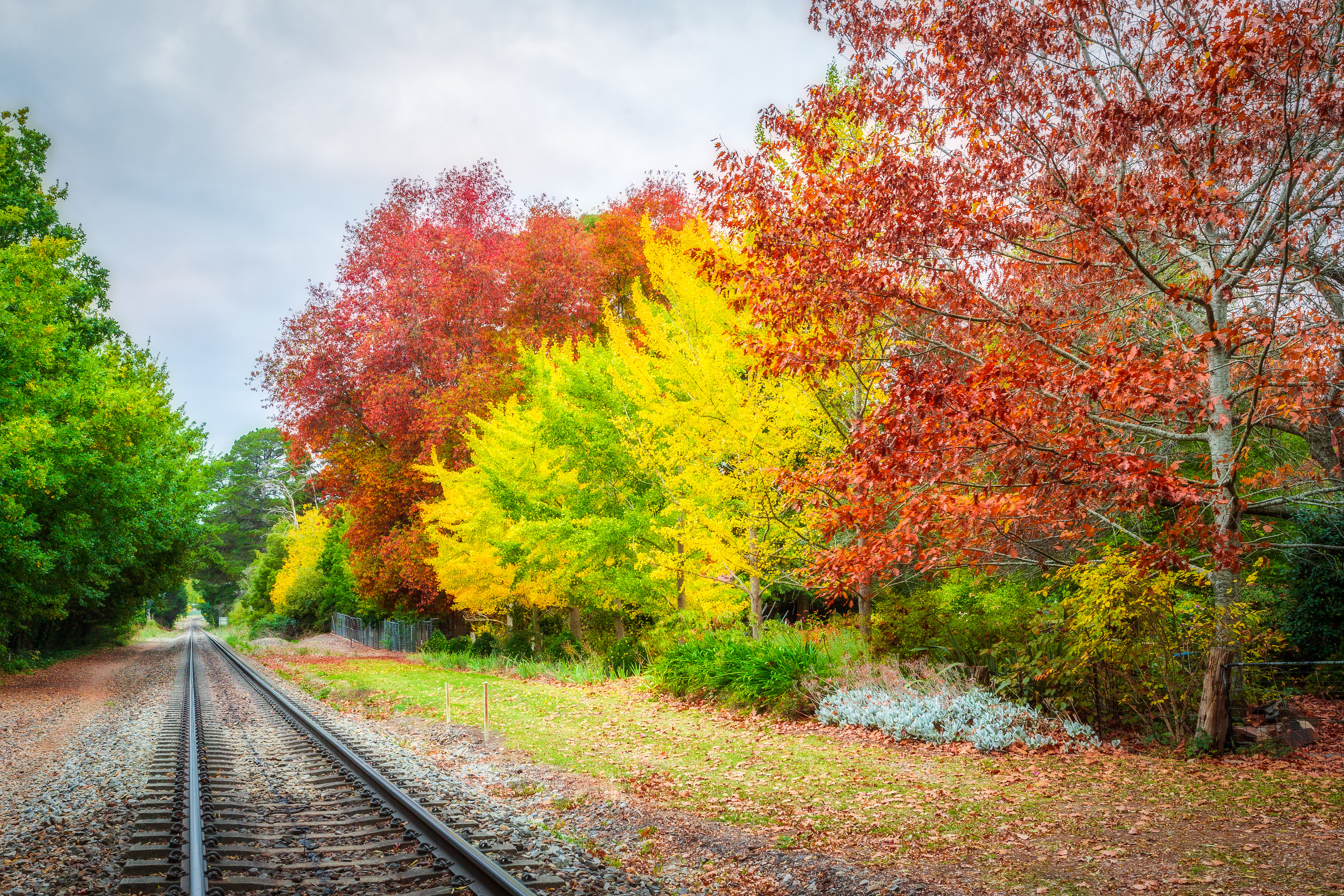 Wallpapers autumn railroad paints of autumn on the desktop