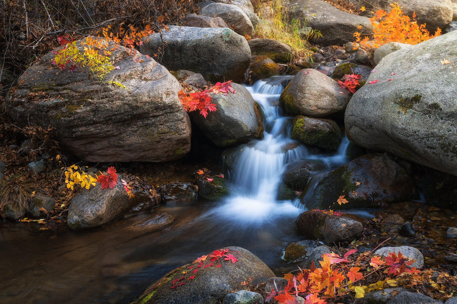 免费照片秋天的照片，河流，在你的手机上的流