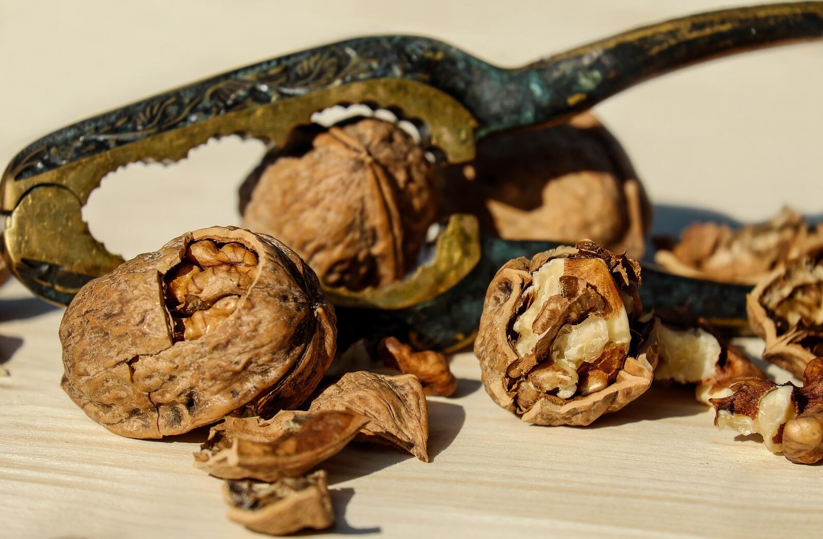 Wallpapers walnuts fruits snack on the desktop