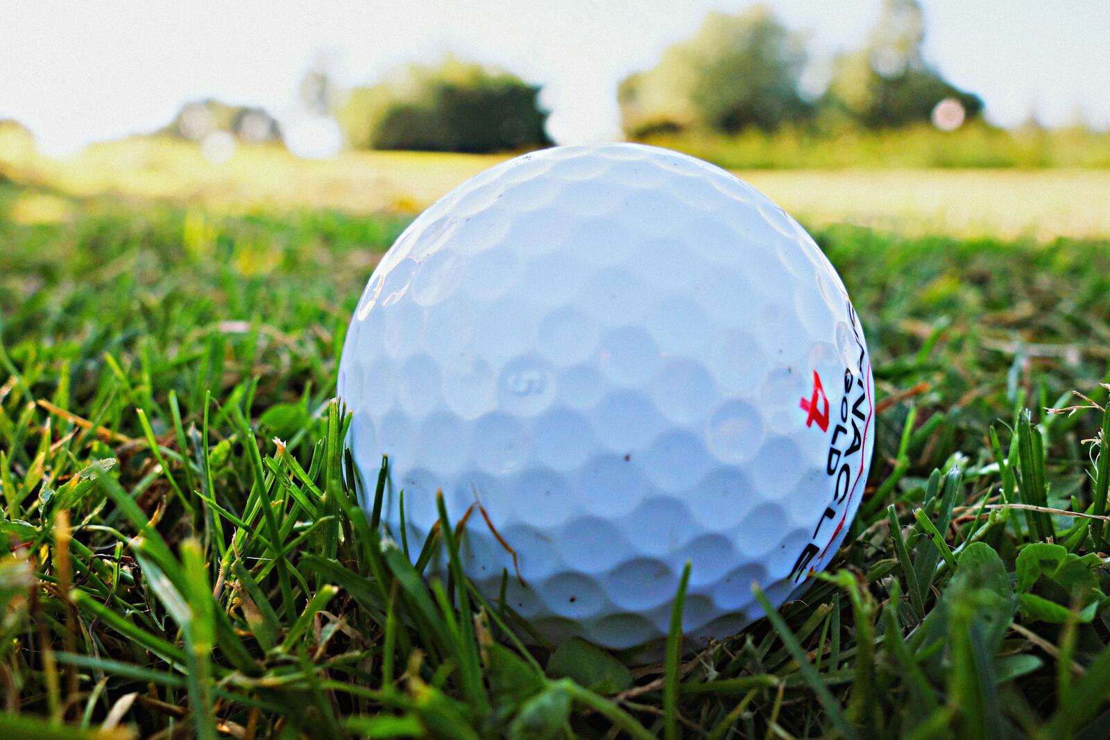 Бесплатное фото Мяч для гольфа на зеленой траве