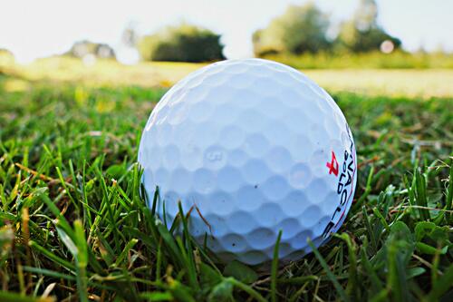 A golf ball on the green grass.
