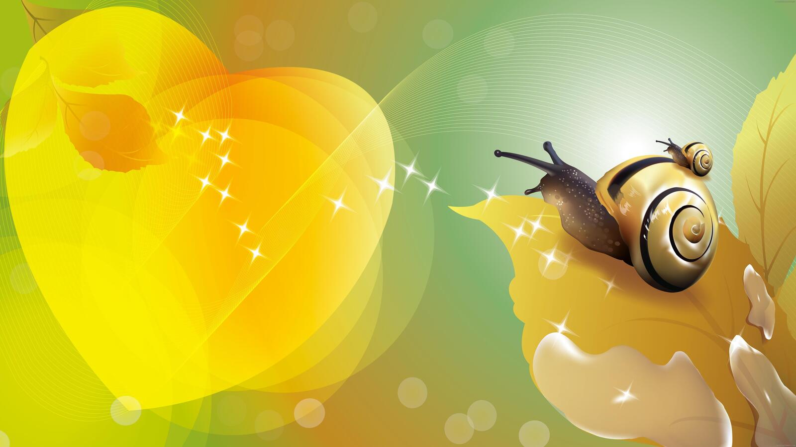 Wallpapers illustration snail insect on the desktop