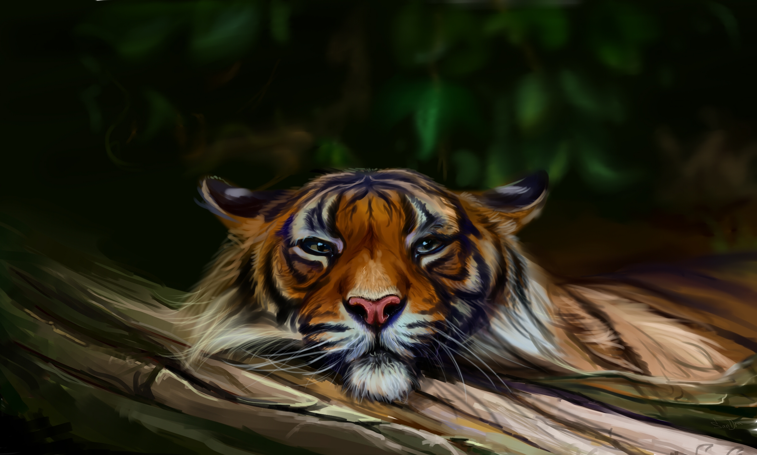 Wallpapers tiger muzzle art on the desktop