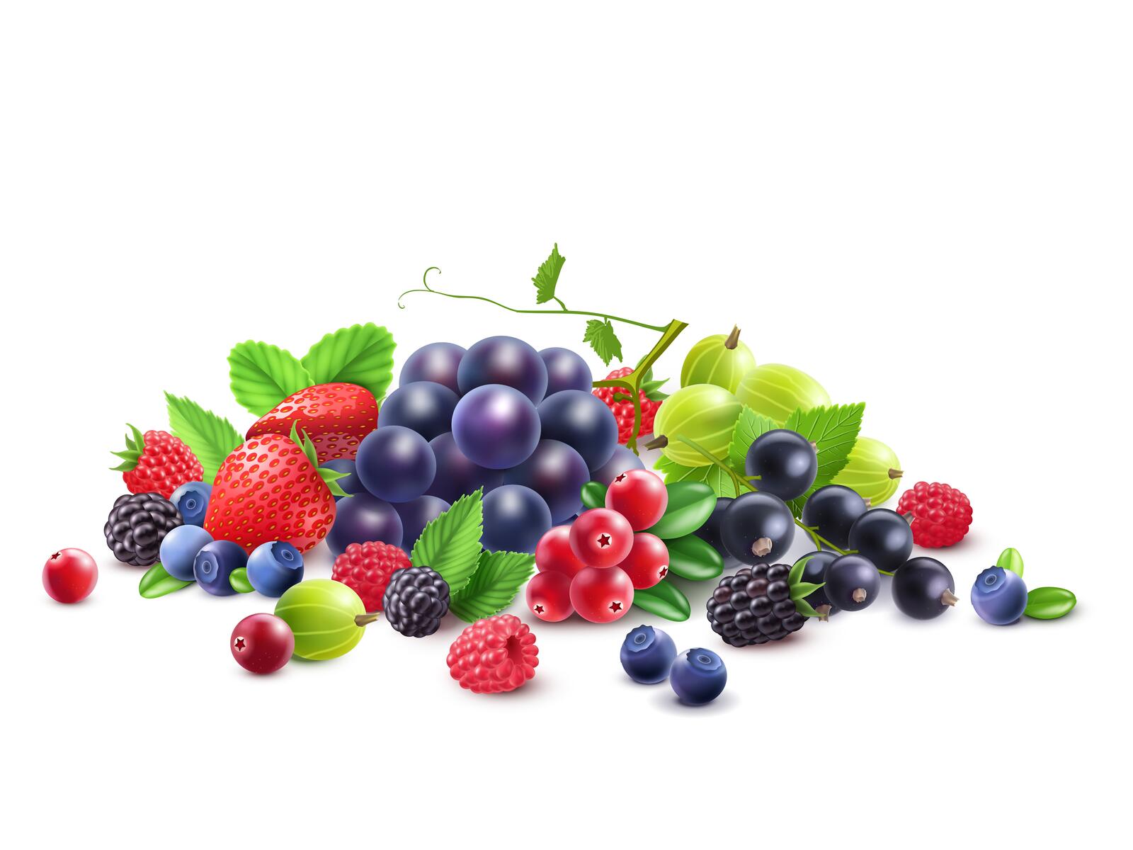Wallpapers food grapes currants on the desktop
