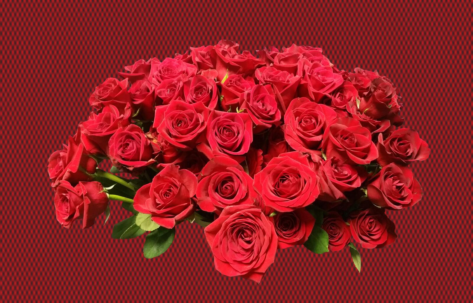 Бесплатное фото букет роз