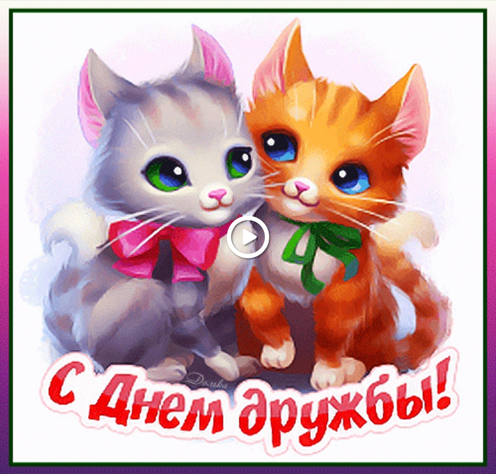 happy friendship day friend`s day cards kittens
