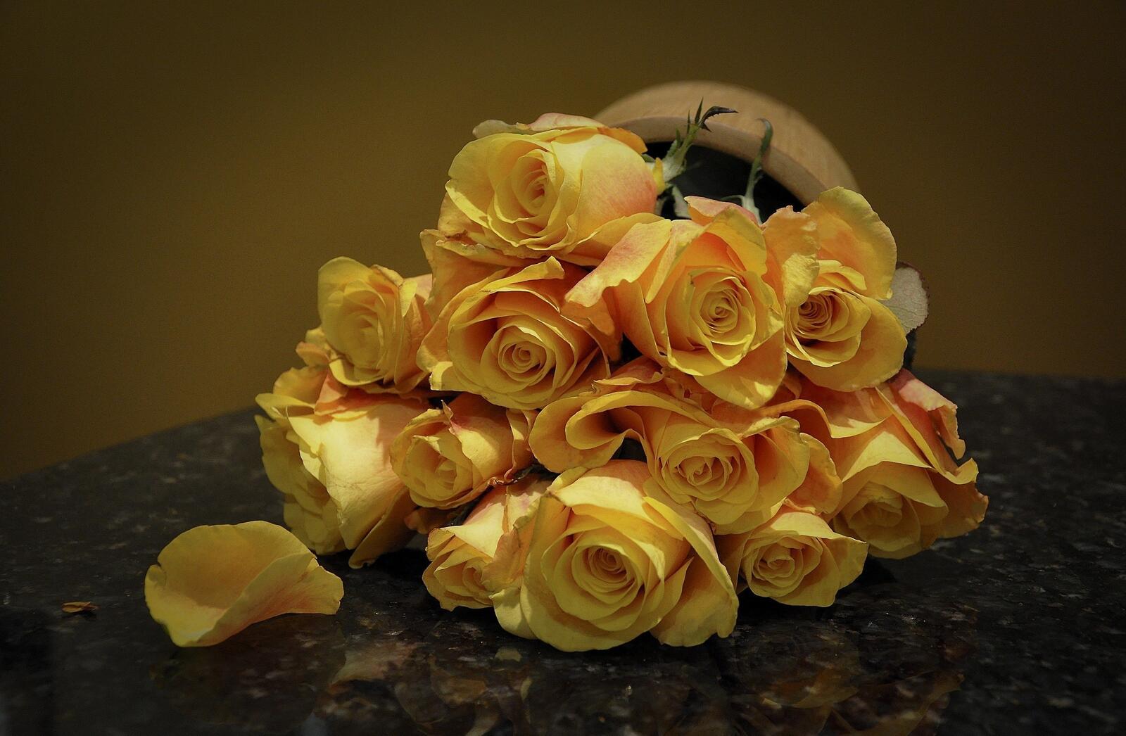 Обои розы на обоях корзина желтый на рабочий стол