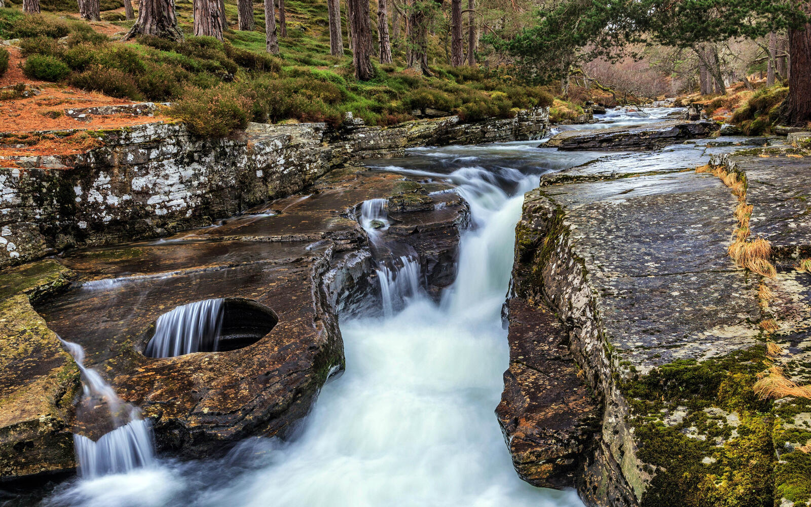 Бесплатное фото Лесной водопад на реке в лесу Шотландии