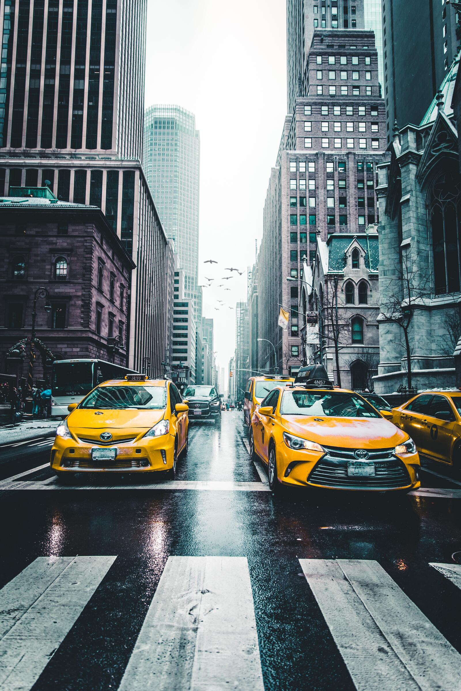 Обои такси небоскребы город на рабочий стол