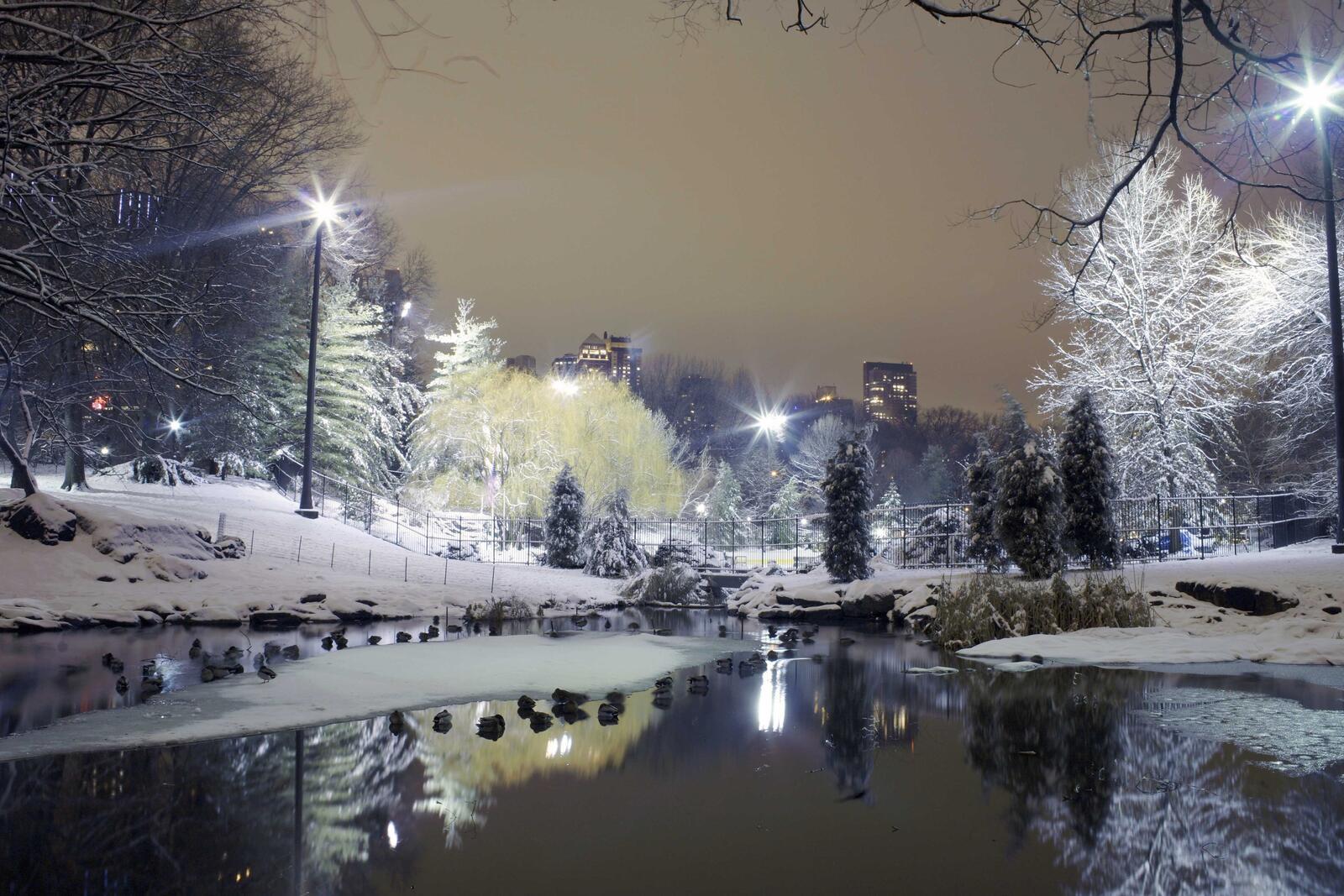 Бесплатное фото Снежные берега у городской реки