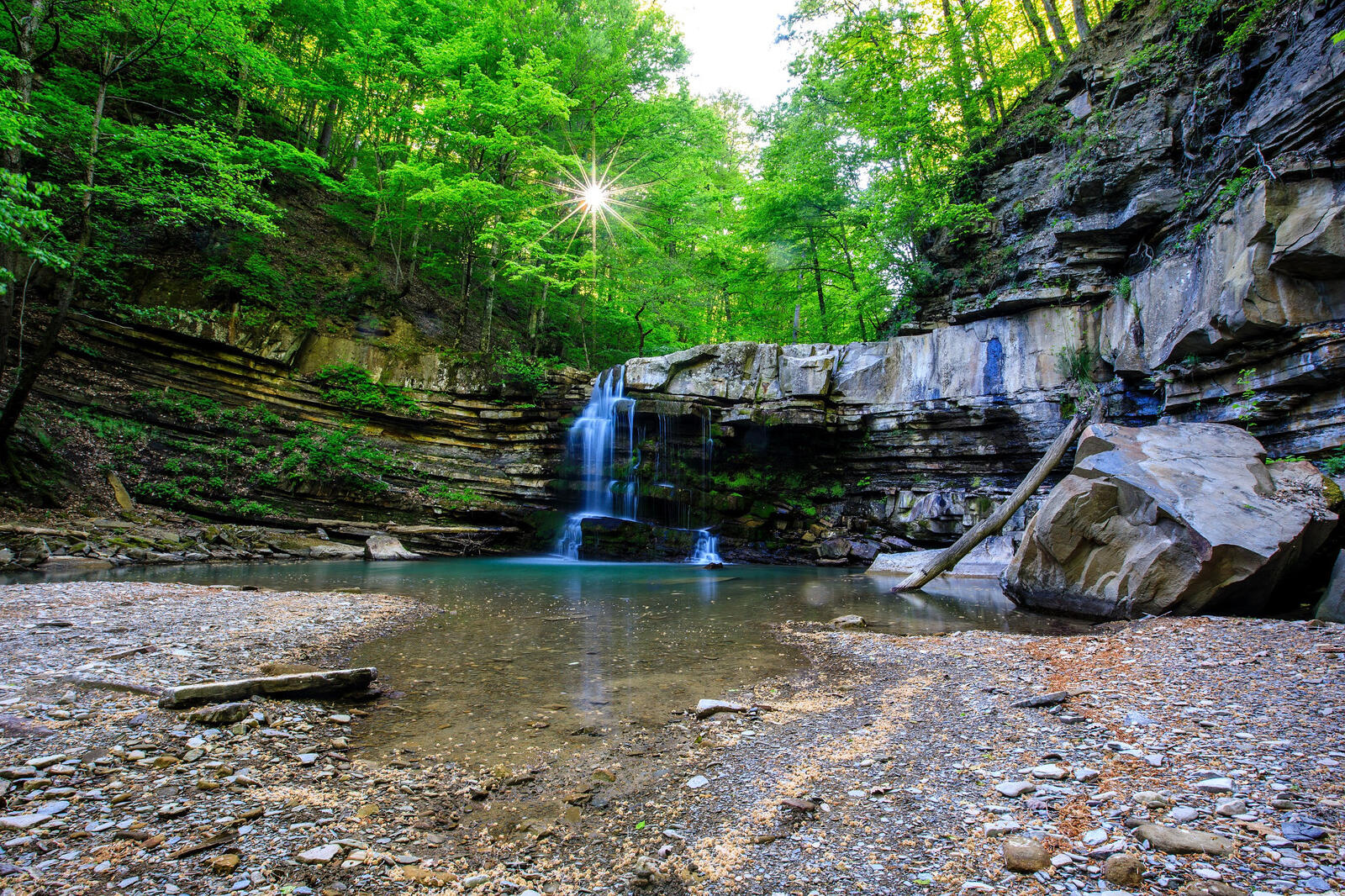 Free photo Free forest, trees, waterfall download photo