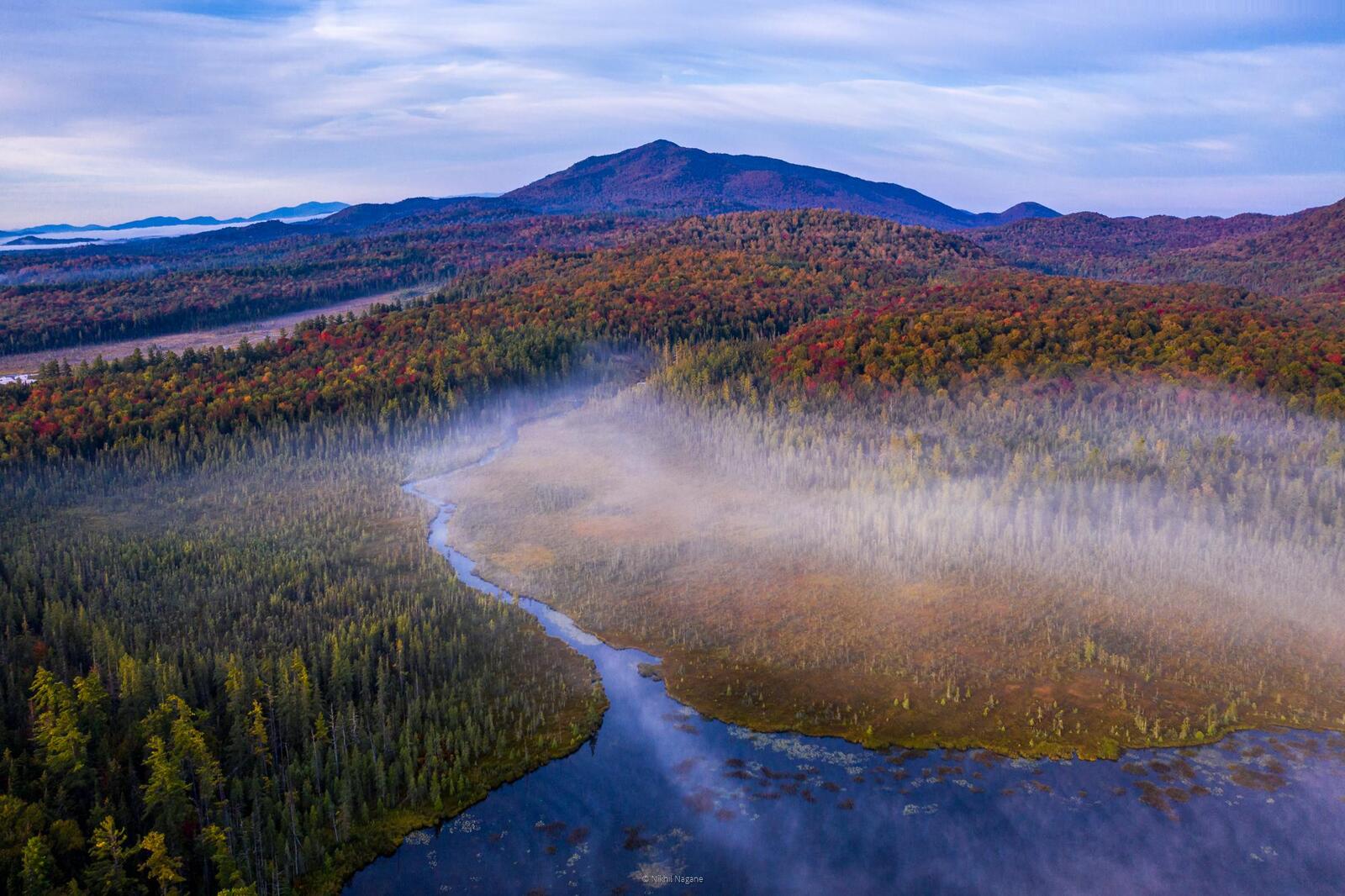 Бесплатное фото Осенний лес с высоты птичьего полета