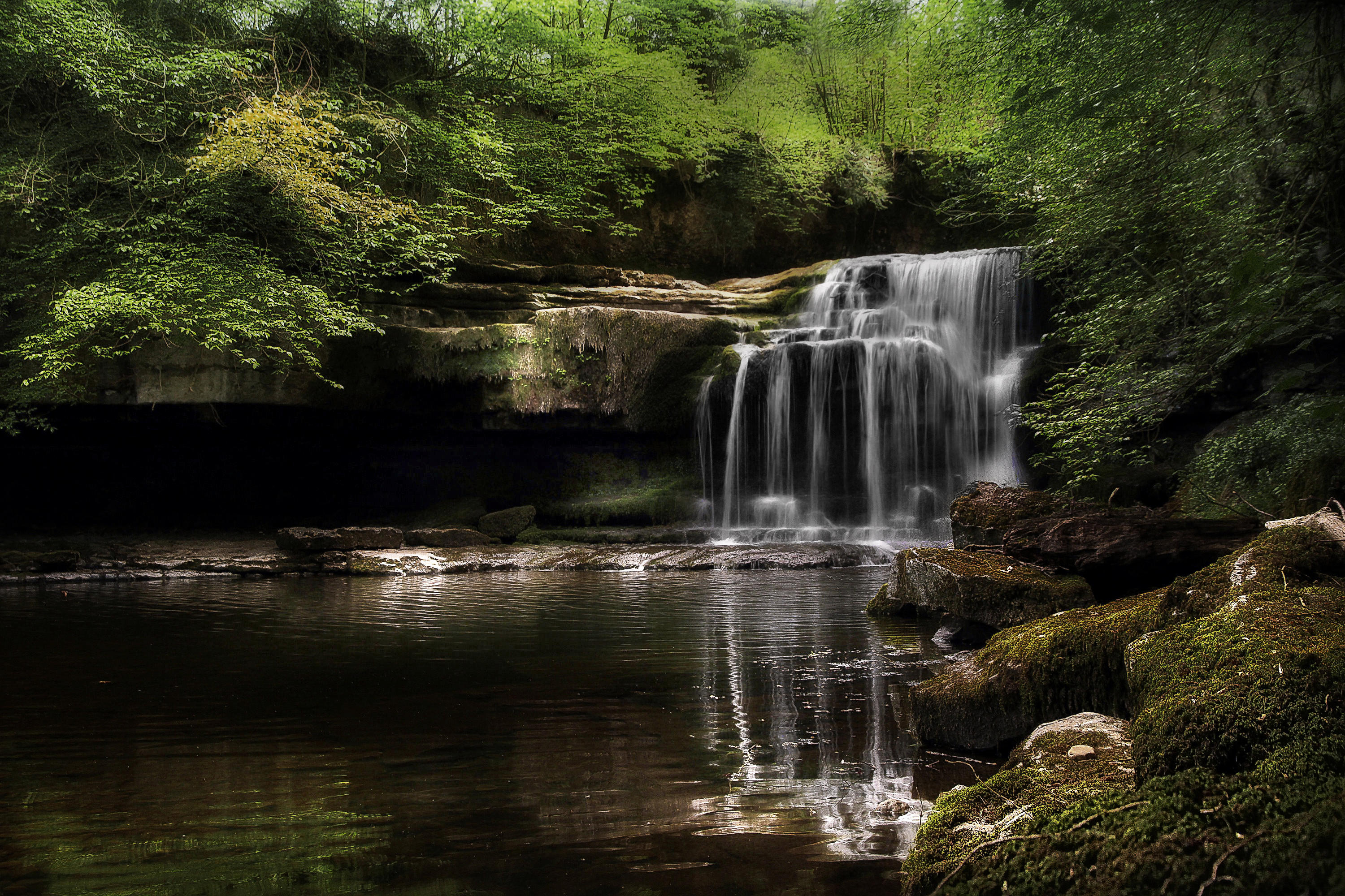 Wallpapers cliff green leaves waterfall in the forest on the desktop