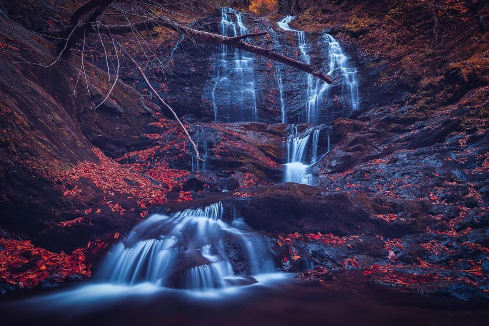 Wallpapers waterfall red leaves nature on the desktop