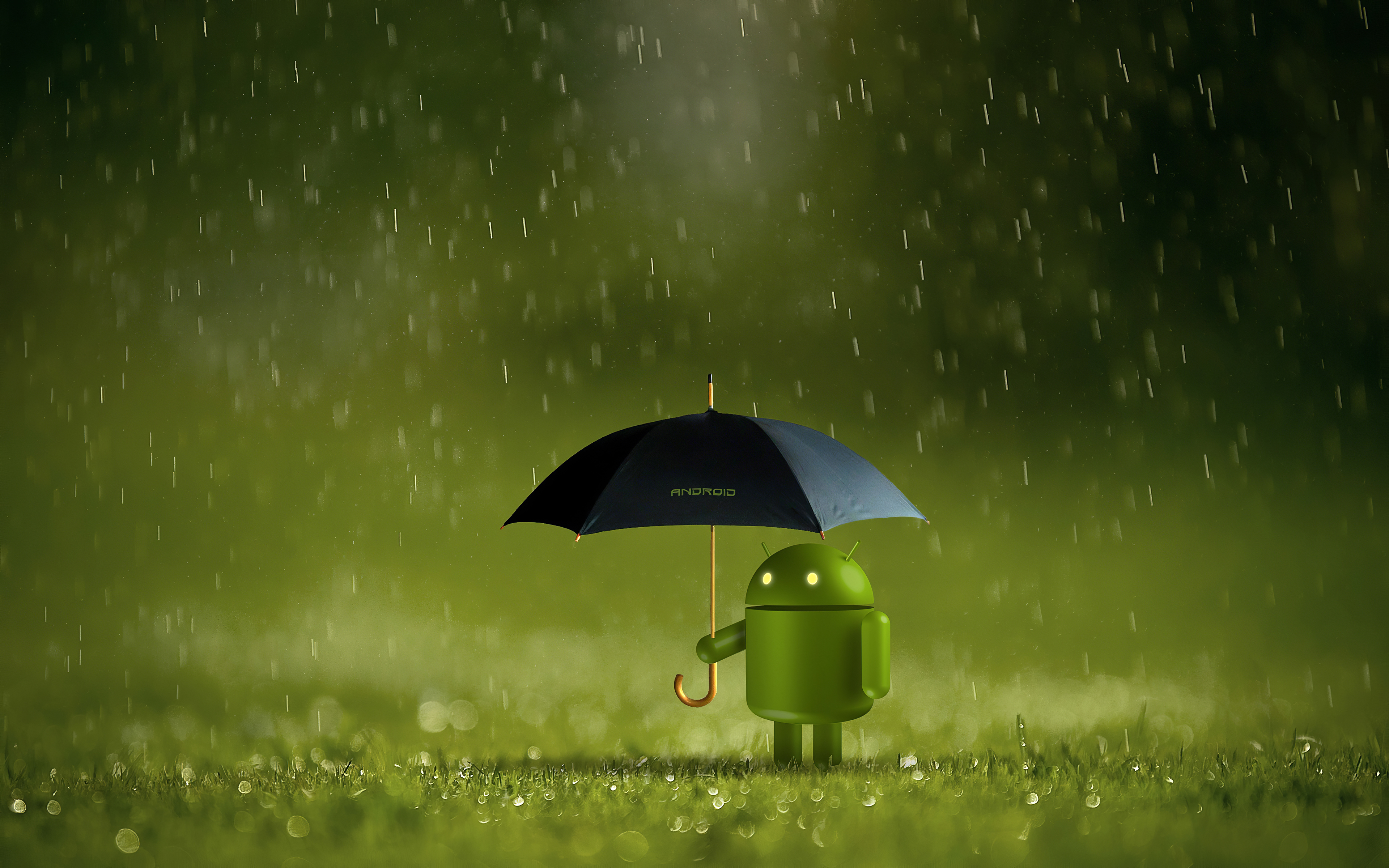 Обои android зонтик газон на рабочий стол
