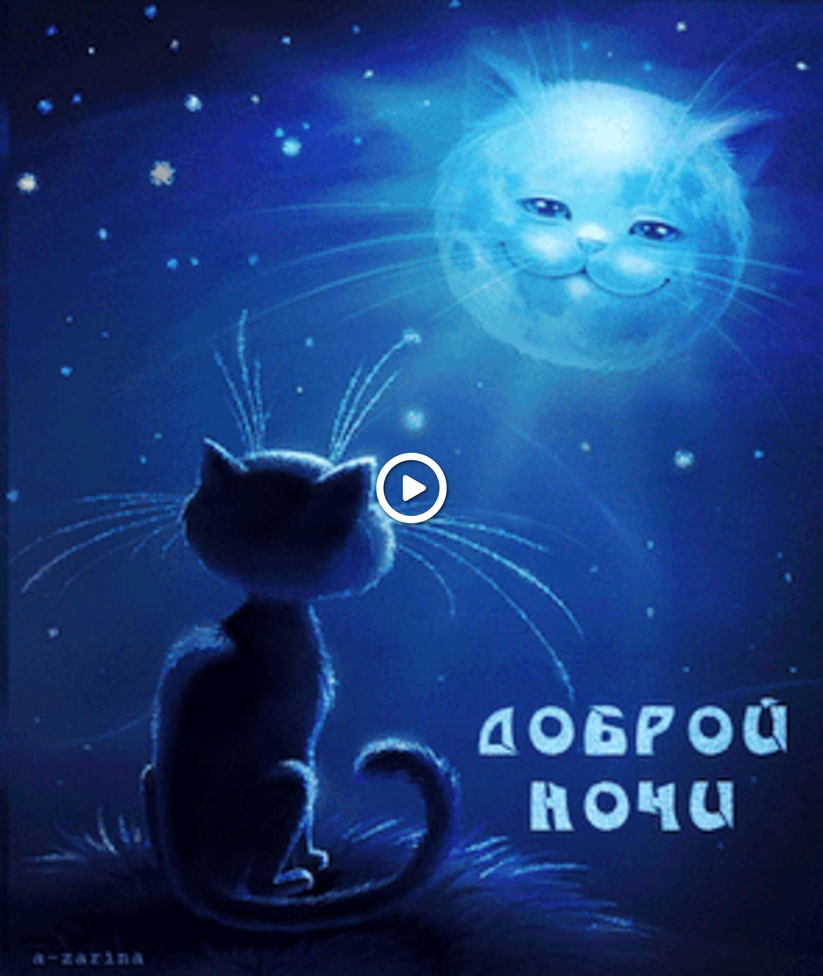 cat good night animation