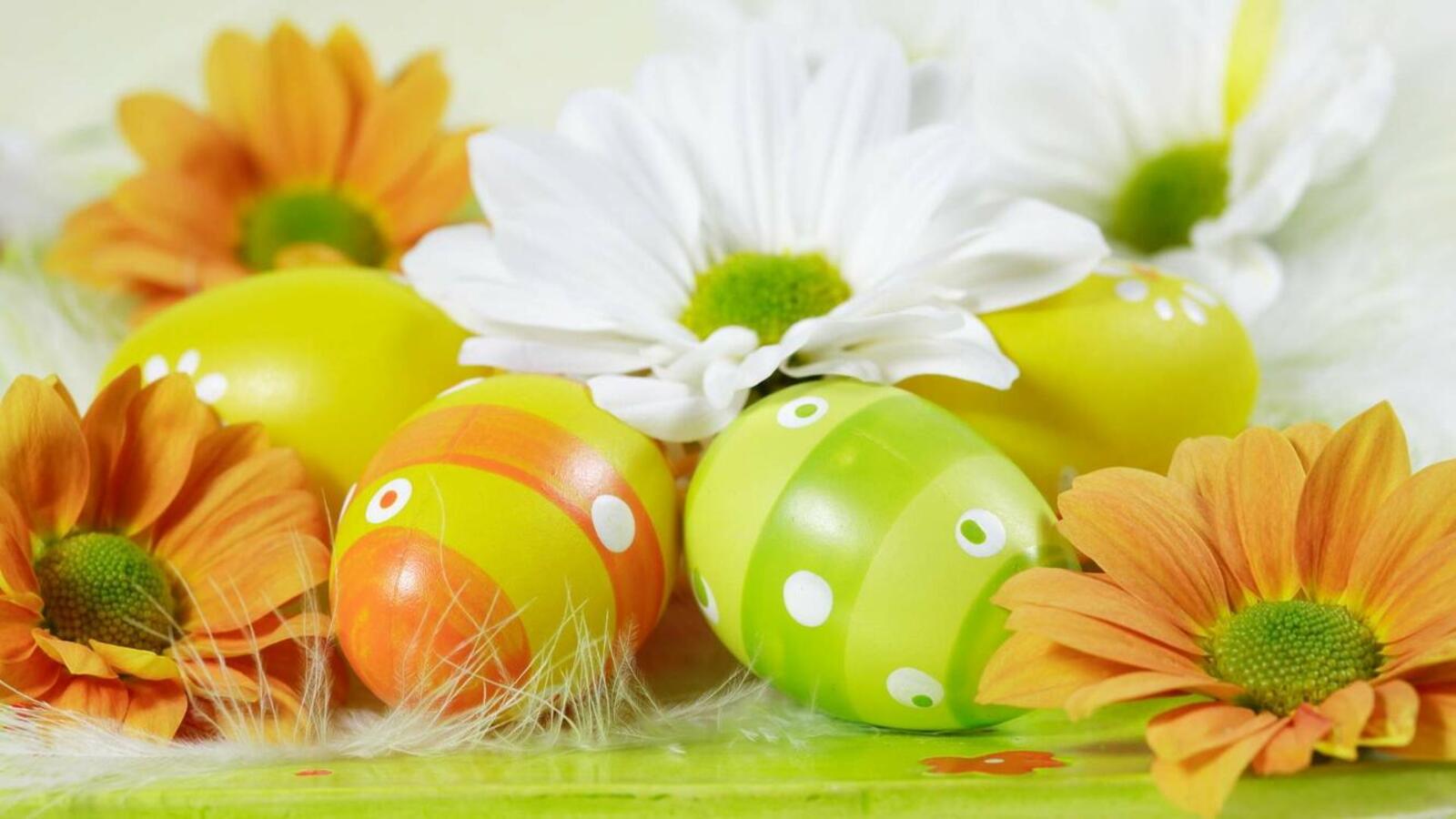 Wallpapers colored eggs green eggs flowers on the desktop