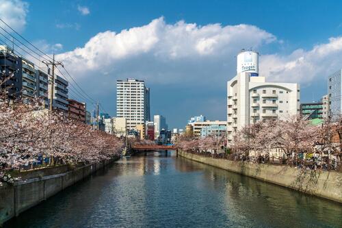 города Япония весна