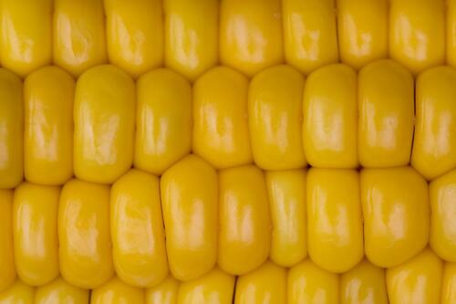 Corn macro