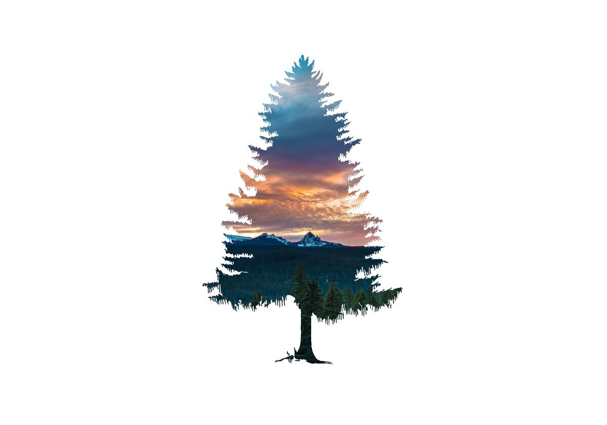 Силуэт елки с изображением в нем пейзажа