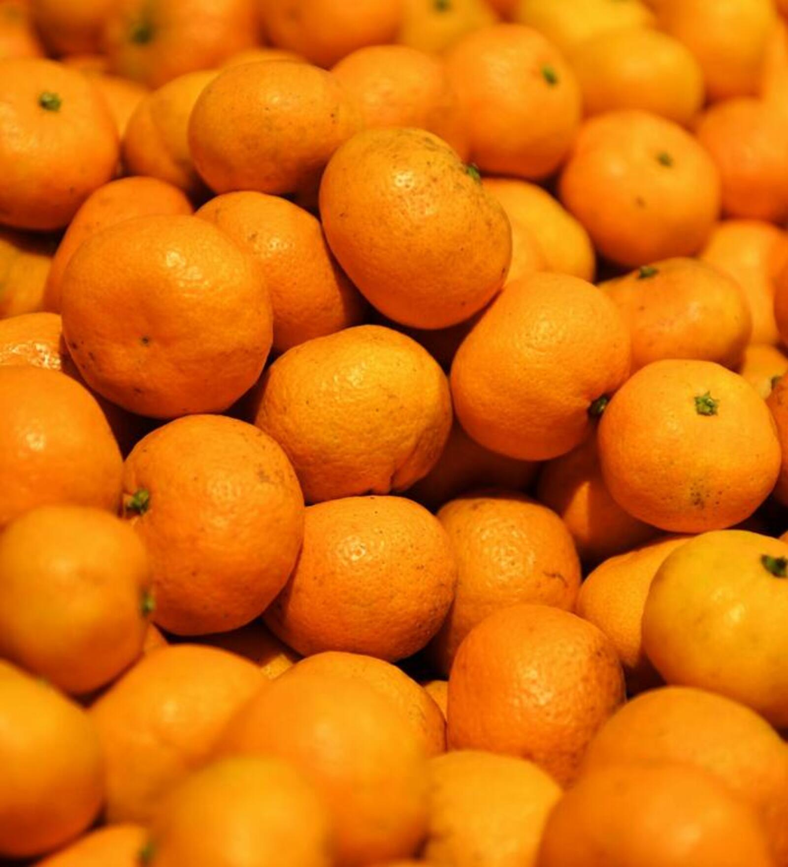 桌面上的壁纸很多橘子 食物 柑橘类水果