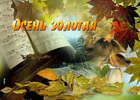 Postcard free beautiful with fall, leaf fall, leaves