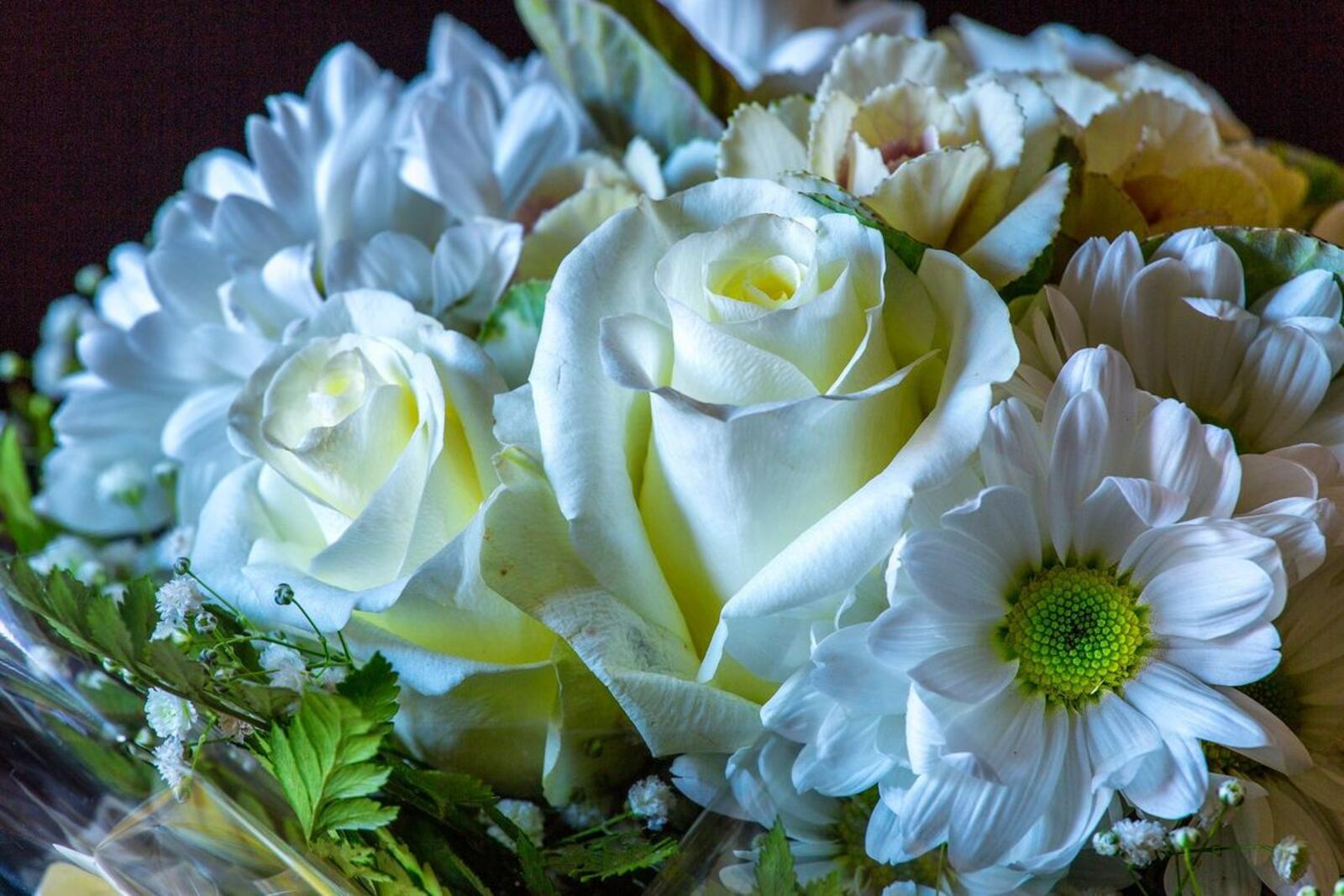 Обои белые цветы белые розы букет на рабочий стол