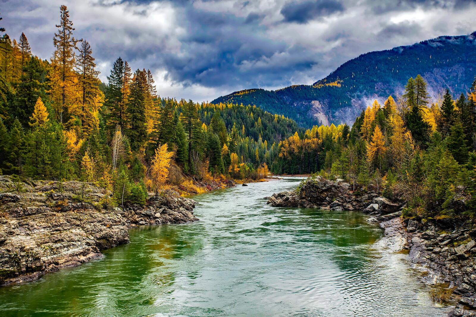 Free photo A forested river with a strong current in the fall
