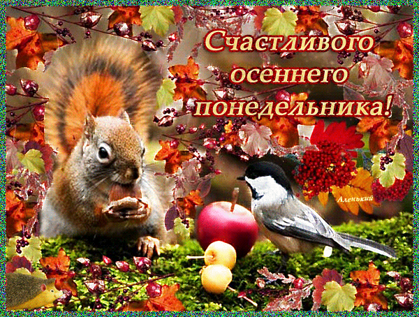 Postcard free animals, autumn monday pictures, birdie
