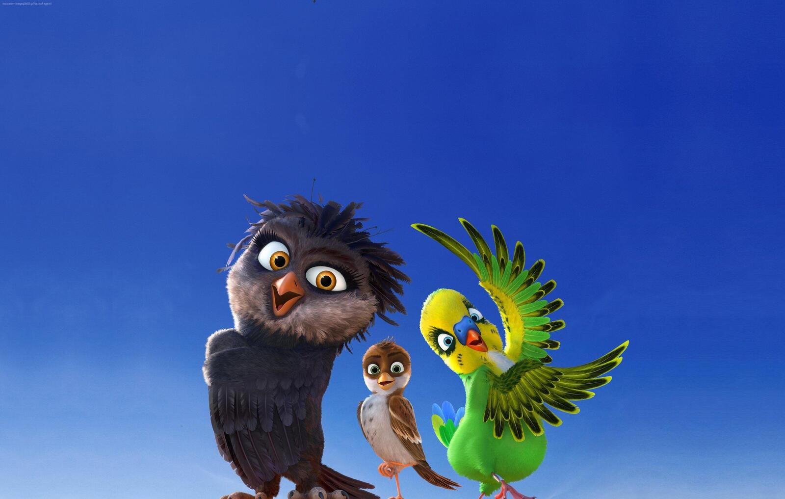 Wallpapers movies animated movies Richard The Stork on the desktop