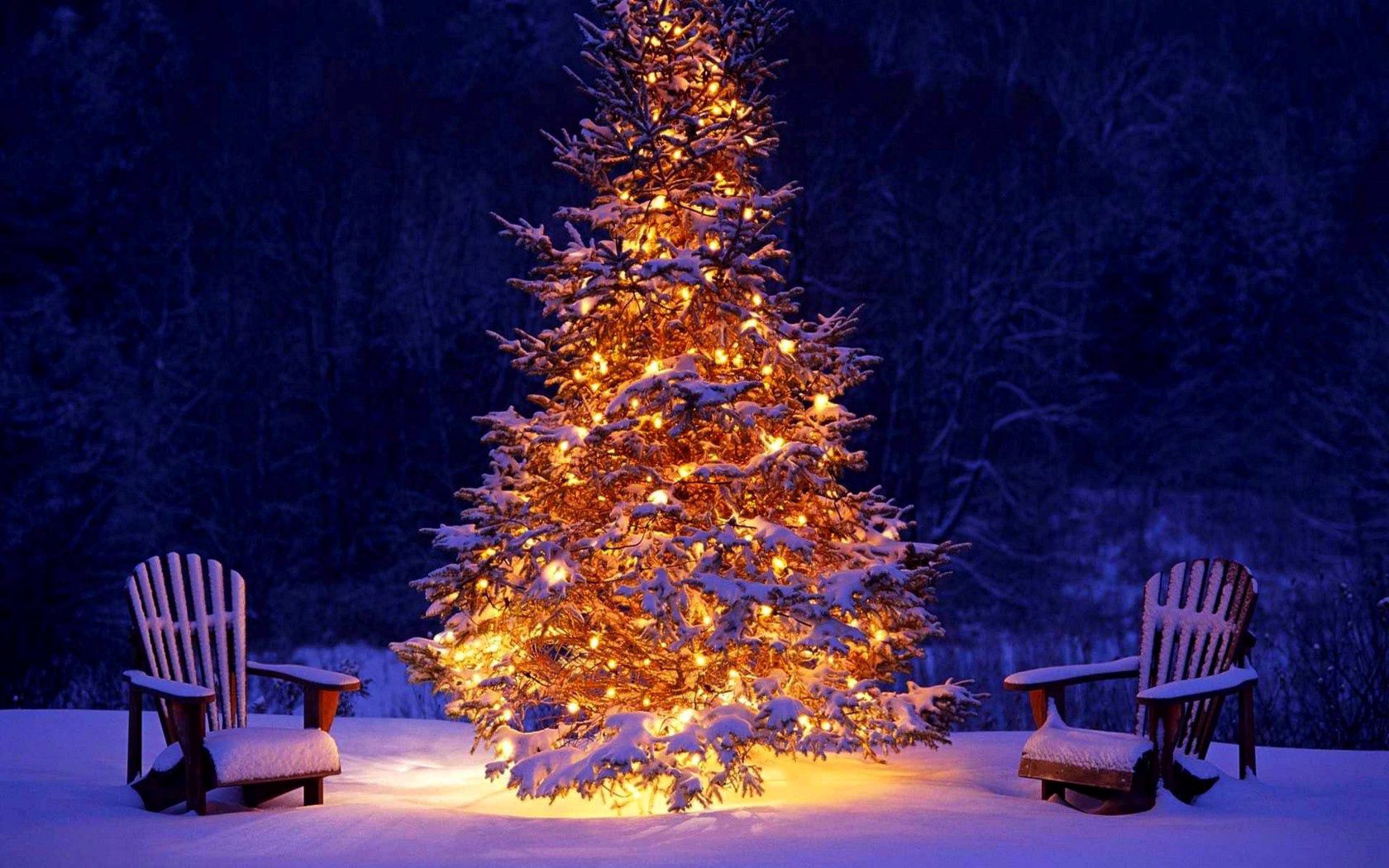 Обои украшенная елка светящаяся елка новогодние украшения на рабочий стол
