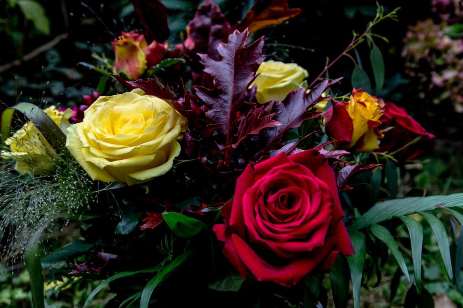 Обои много роз розы цветочная композиция на рабочий стол