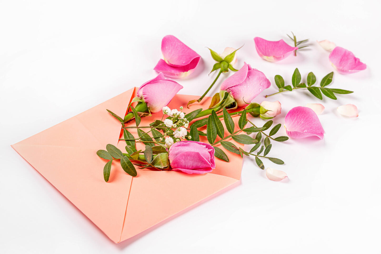 Обои цветы конверт розы на рабочий стол