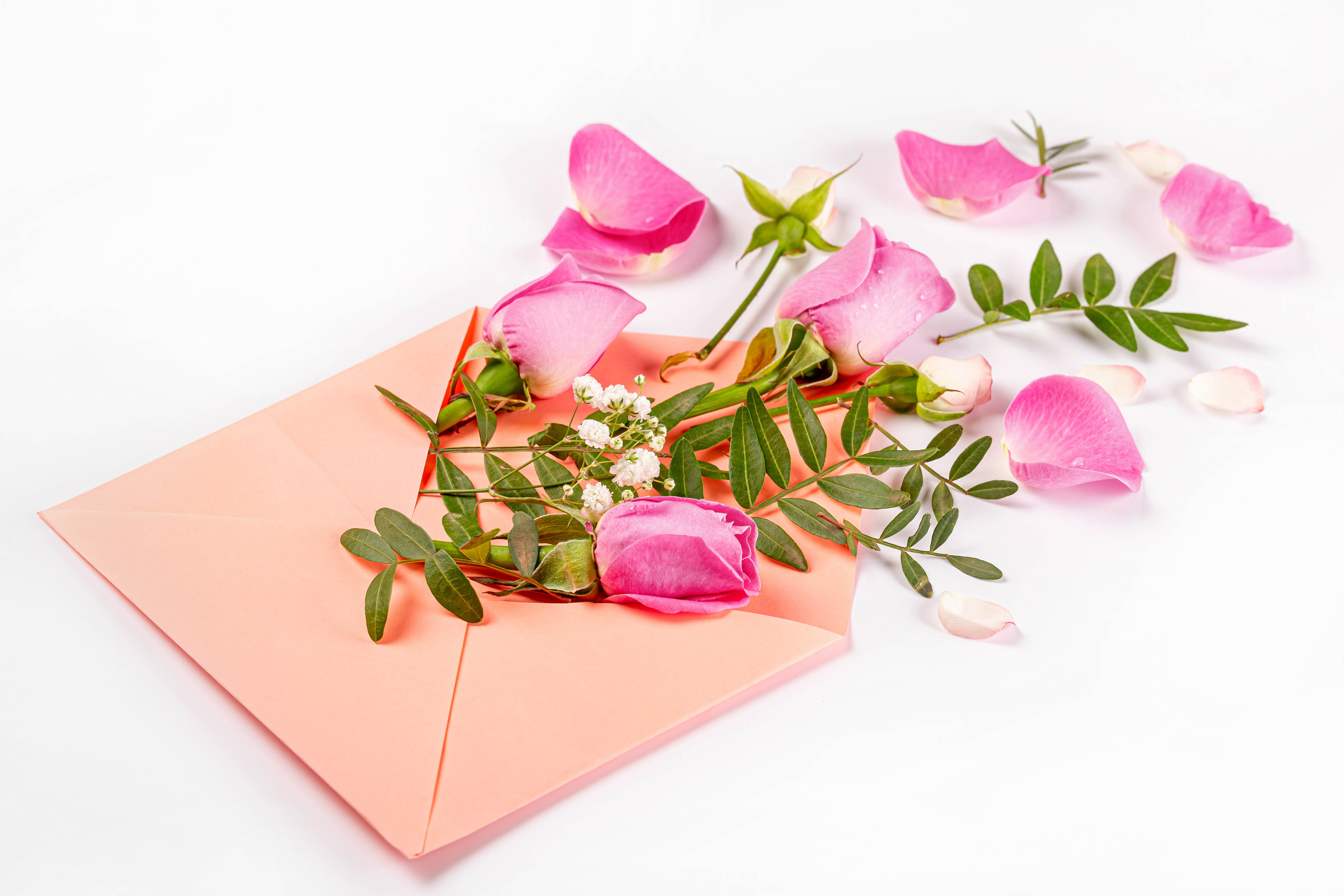 Фото бесплатно цветы, конверт, розы