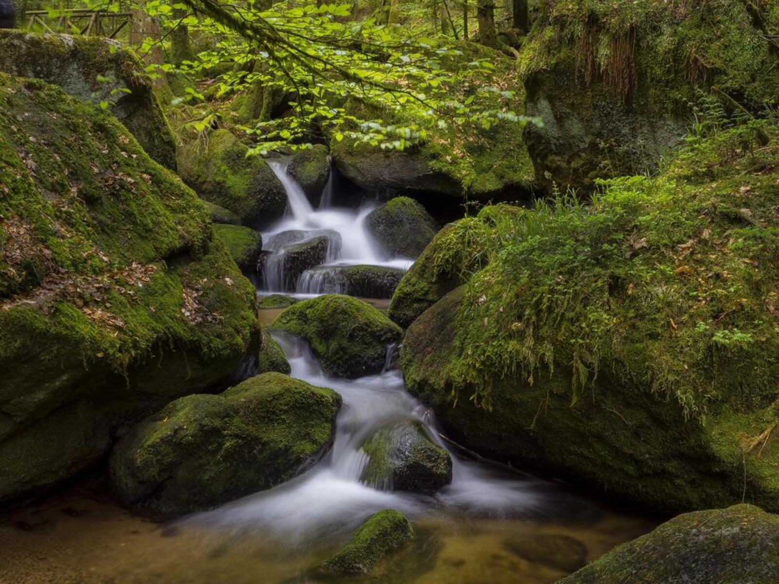 Бесплатное фото Скалистый водопад среди больших камней покрытых мхом