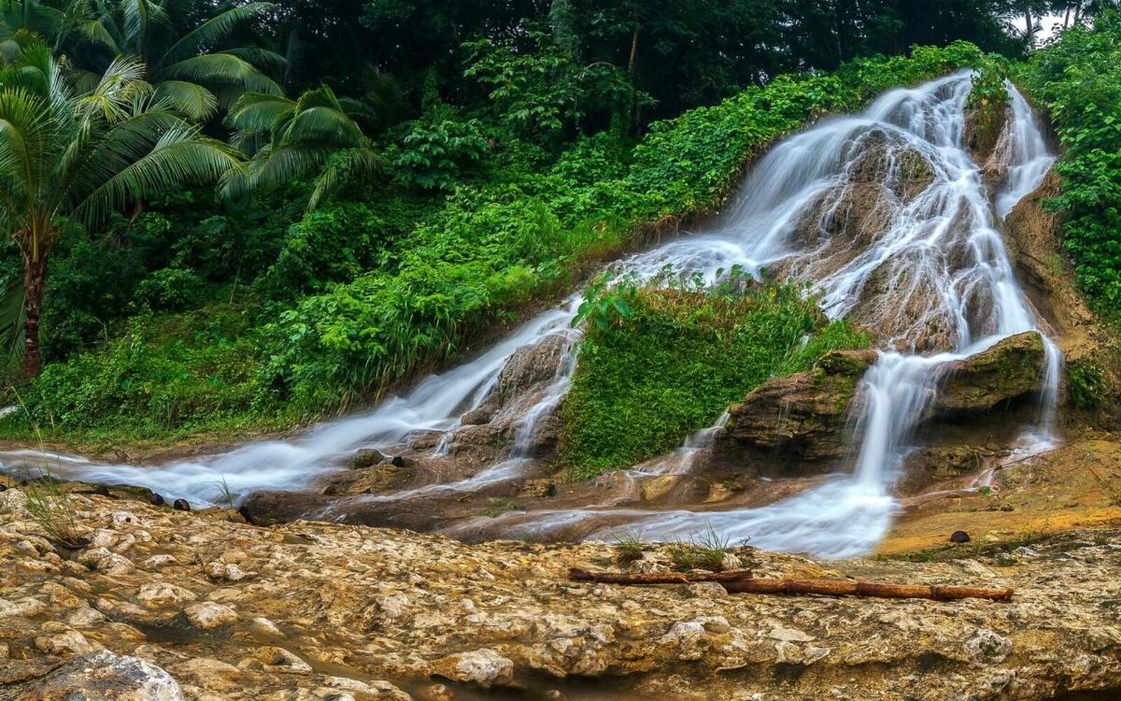 Бесплатное фото Сильный поток с горы в летнем лесу