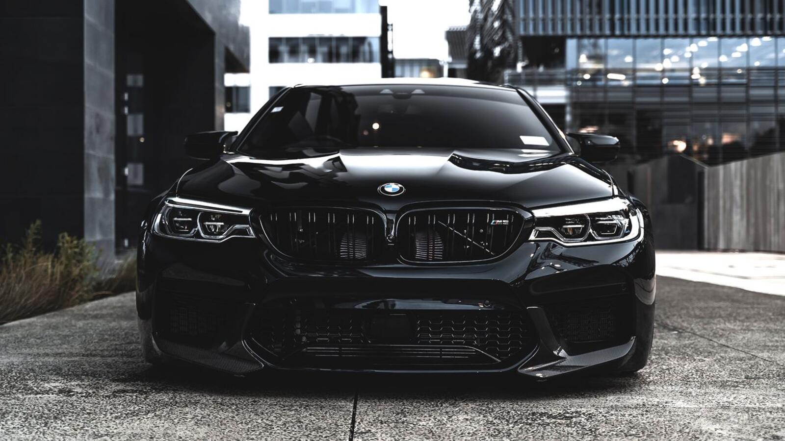 Wallpapers bmw m5 front view luxury cars on the desktop