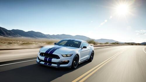 Shelby`s Ford Mustang speeds down a country road in sunny weather