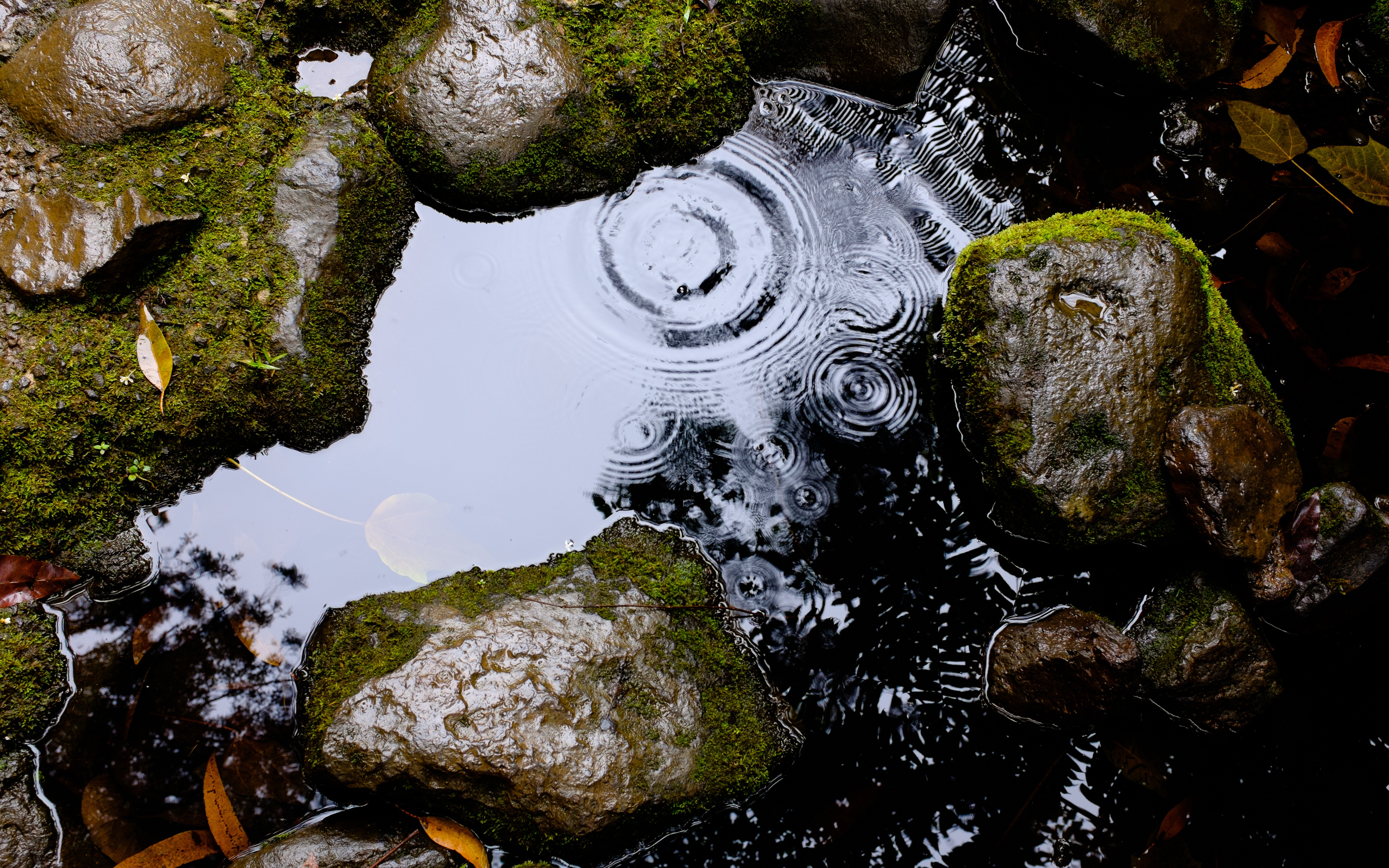 Капля воды камень. Природная вода. Вода в природе. Лужа воды. Мокрый камень.