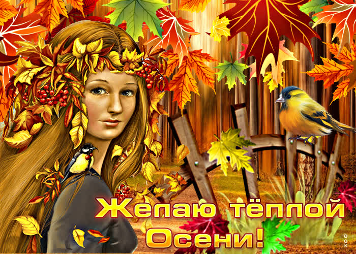 A postcard on the subject of i wish you a warm autumn nature autumn leaves for free