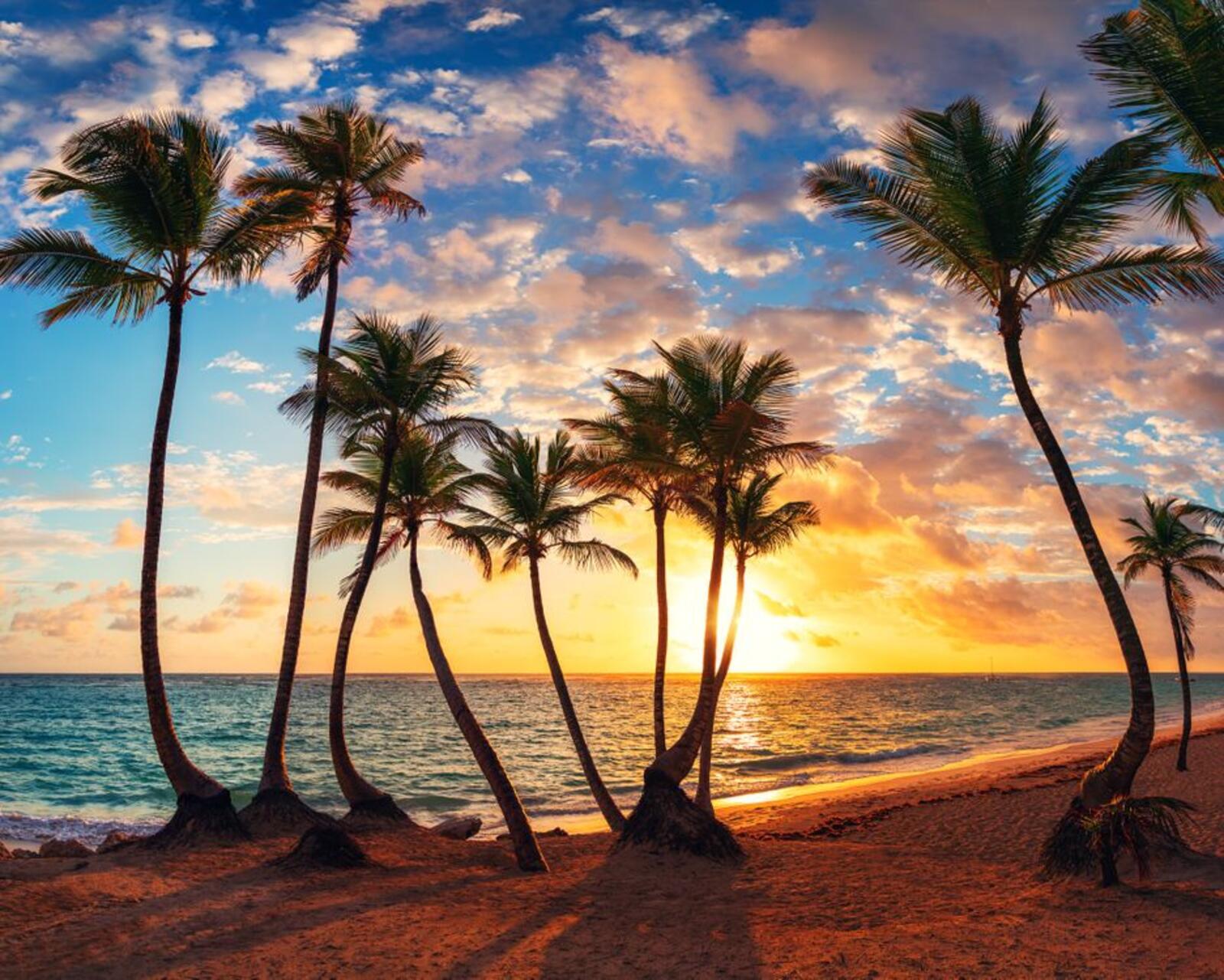桌面上的壁纸棕榈和热带海滩 加勒比地区 海