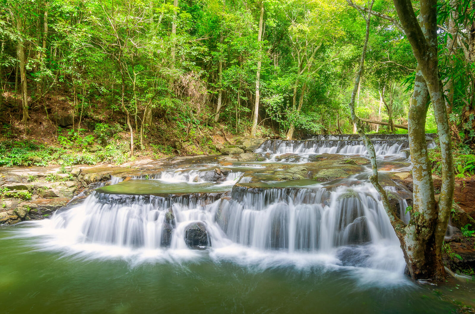 Wallpapers trees waterfall Thailand on the desktop