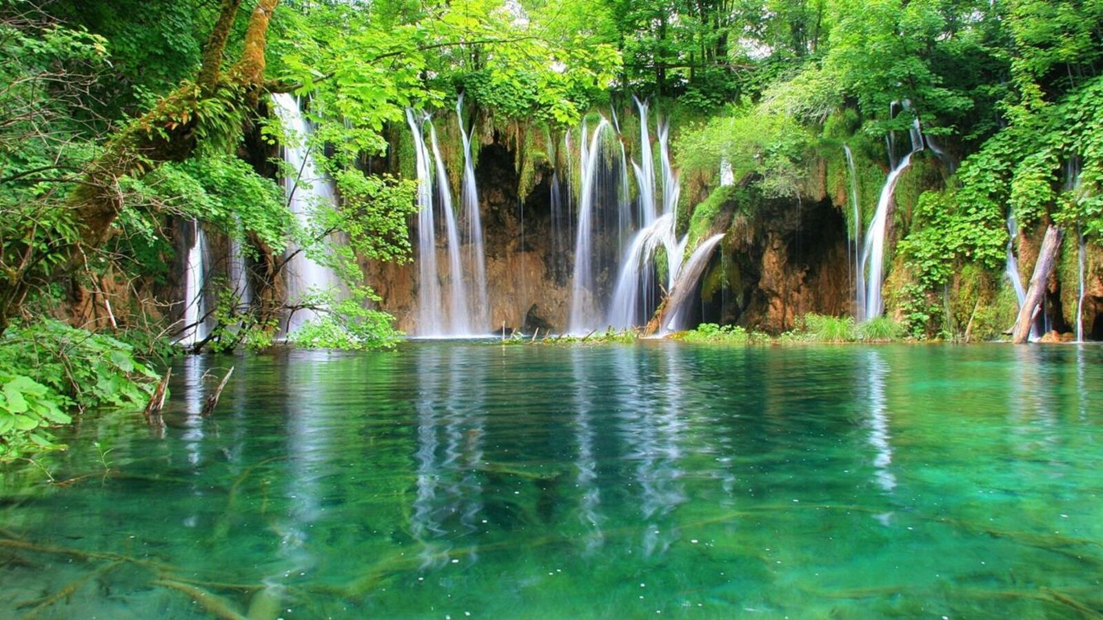 Wallpapers trees Plitvice Lakes landscapes on the desktop
