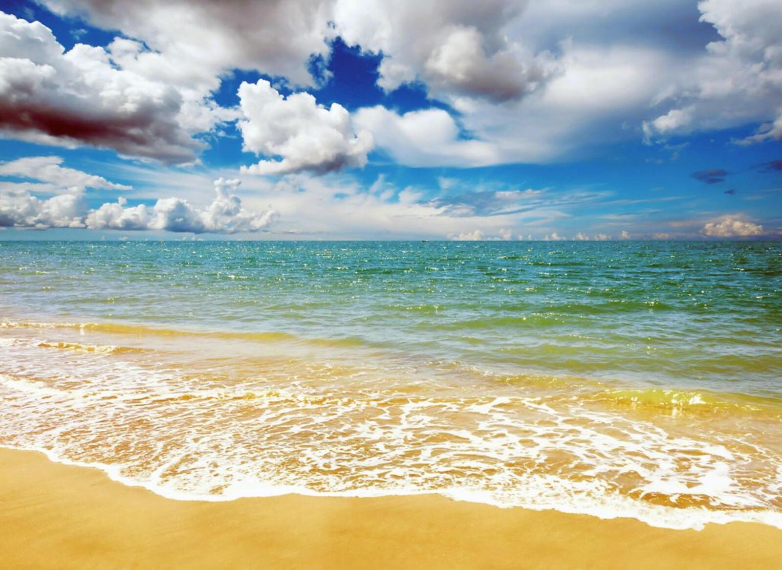 Wallpapers sand beach wave landscape on the desktop