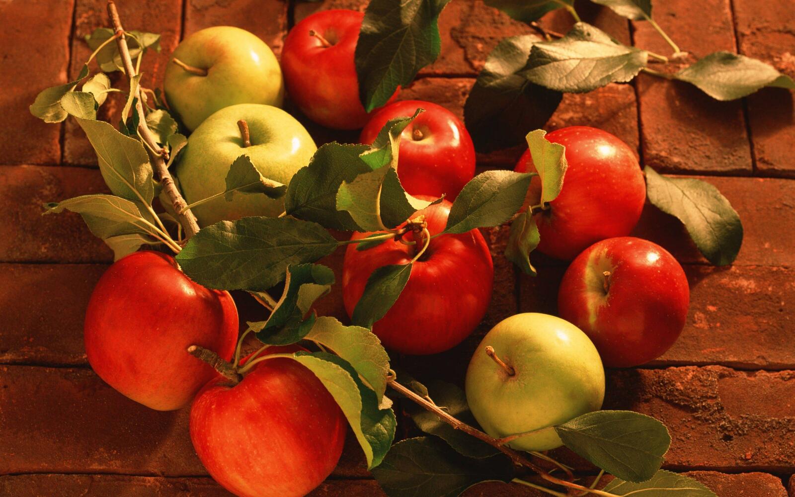 Обои яблоки листья еда на рабочий стол