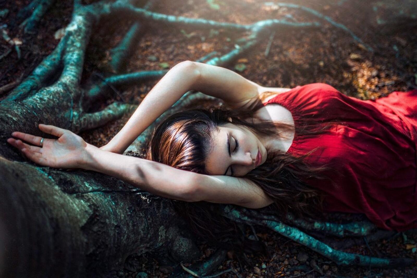 Wallpapers model lying down forest on the desktop