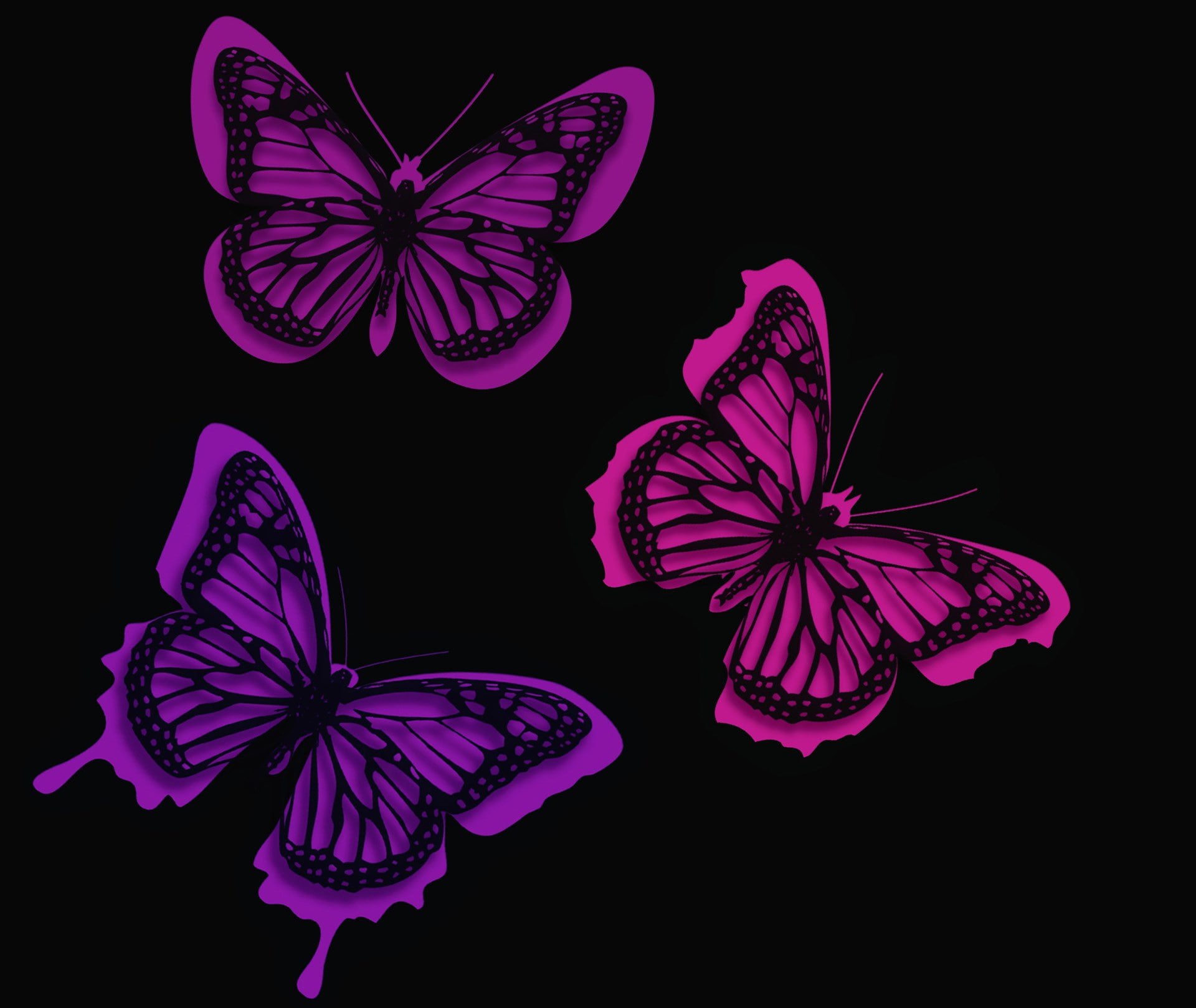 Wallpapers butterflies design artwork on the desktop